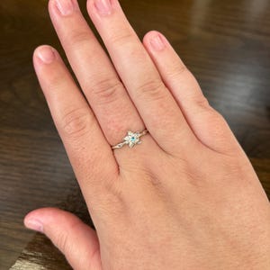 Inactive account added a photo of their purchase