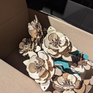 Sébastien added a photo of their purchase