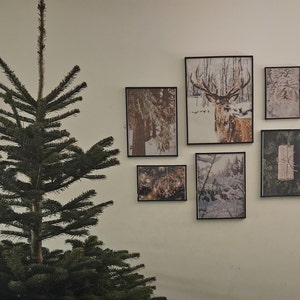 Dorota hat ein Foto des gekauften Artikels hinzugefügt
