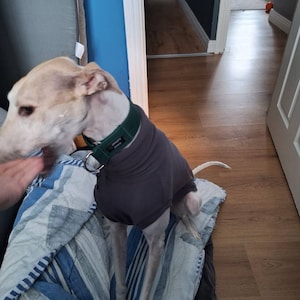 Nickki added a photo of their purchase