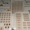 Interactive Preposition Activity, Prepositions Flashcards, Hands on ...