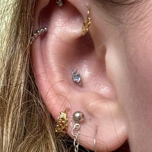 Alexis added a photo of their purchase