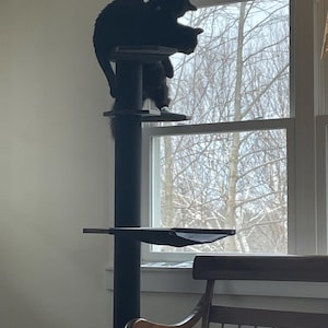 Ursula added a photo of their purchase
