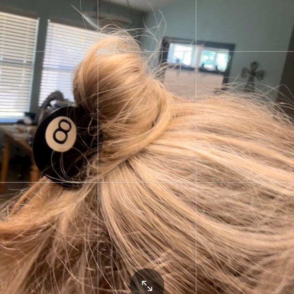 Small Fan Shell Hair Claw