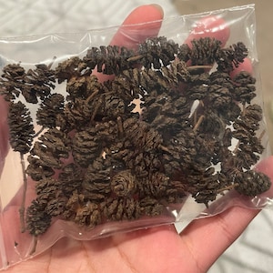 Katharine added a photo of their purchase