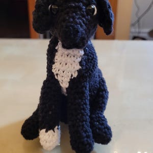 Eleanor added a photo of their purchase