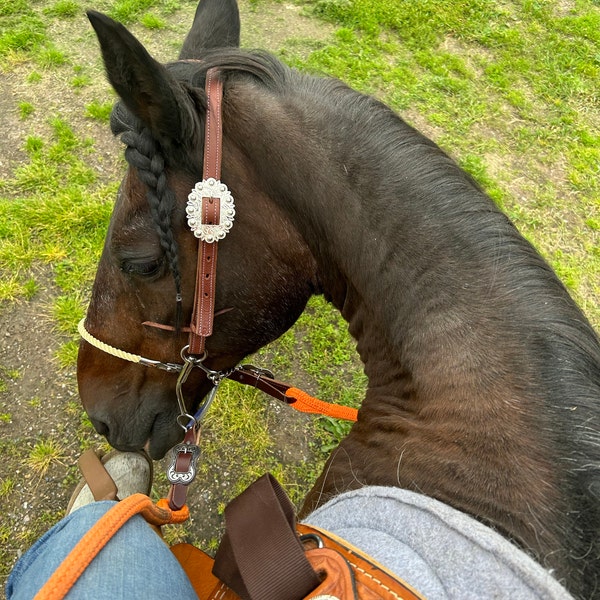 Handcrafted Latigo Leather Headstall For Horses - Western Tack With Stainless Steel Hardware