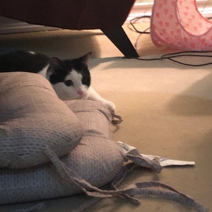 Taylor ha añadido una foto de su compra