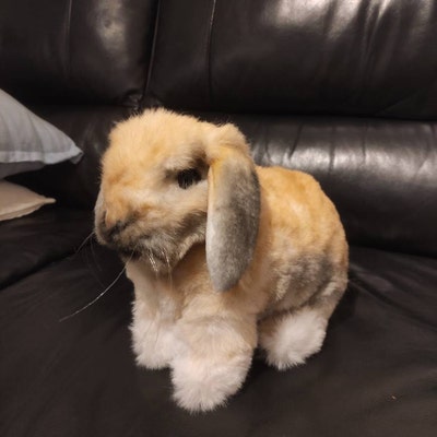 Custom Pet Handmade Stuffed Clone, Custom Pet Stuffed Animal, Custom