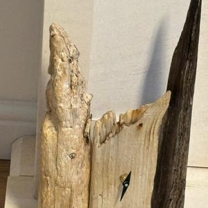 Lesley added a photo of their purchase