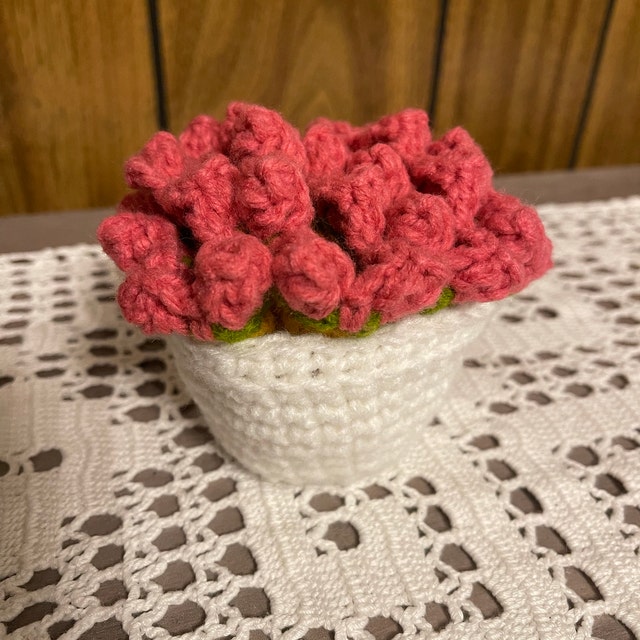 Crochet Poinsettia Flower Pot Coaster Set Written Pattern, Brunaticali –  Brunaticality