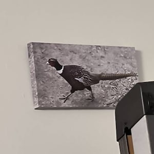 Lee added a photo of their purchase