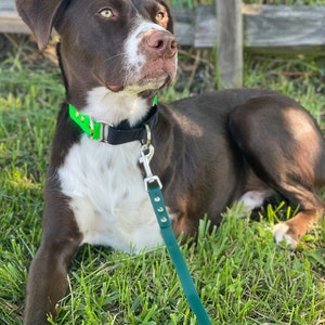 Aubrey added a photo of their purchase