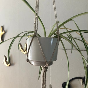 rachel added a photo of their purchase