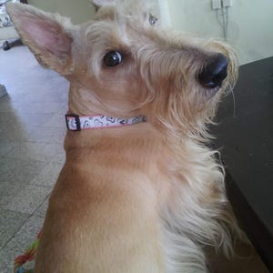Analía added a photo of their purchase
