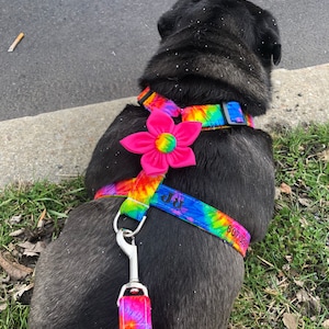 Tiffani added a photo of their purchase