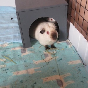 Susan heeft een foto van de aankoop toegevoegd