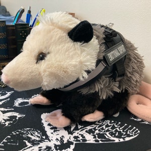 Emotional Support Opossum — CritterVision