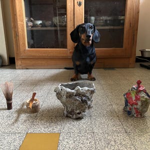 jean-frederic added a photo of their purchase