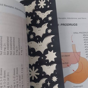 sofia ha aggiunto una foto del proprio acquisto