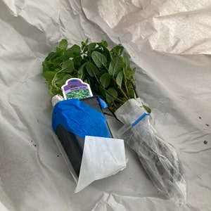 Donna added a photo of their purchase