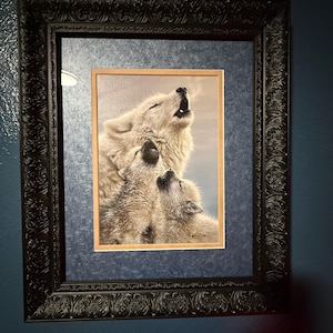Camille added a photo of their purchase