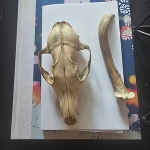 Rachelle added a photo of their purchase