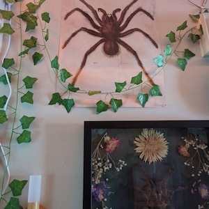 Cole added a photo of their purchase