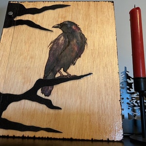 Trudi heeft een foto van zijn/haar aankoop toegevoegd