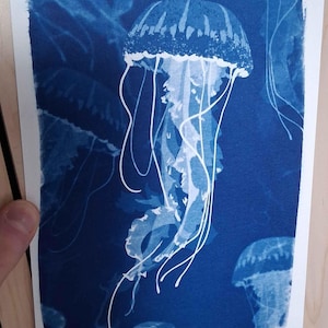 pammfranklin added a photo of their purchase