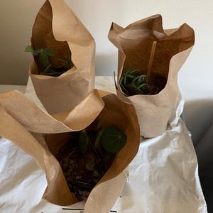 maria added a photo of their purchase