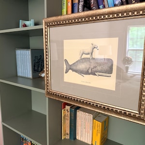 A added a photo of their purchase