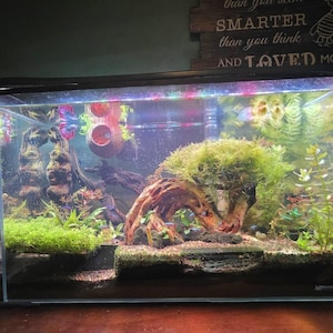 lindsey added a photo of their purchase