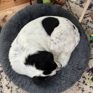 Uri lade till en bild av sitt köp