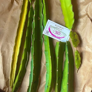 Sergio ha añadido una foto de su compra