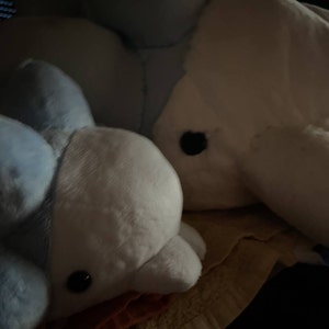 Thorinair ha añadido una foto de su compra