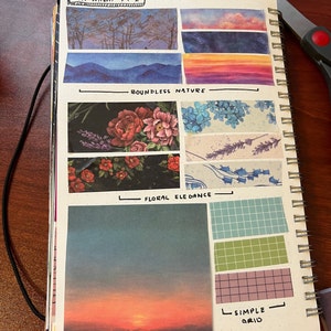 Rachel added a photo of their purchase