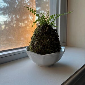 Meghan heeft een foto van zijn/haar aankoop toegevoegd