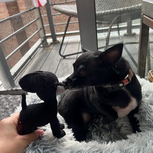 Gabi added a photo of their purchase