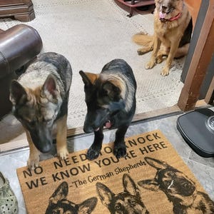 Pitbull Puppy Door Mat