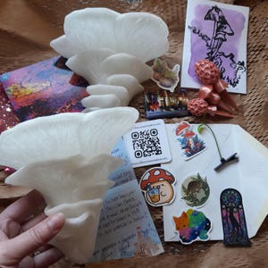 Ceri hat ein Foto des gekauften Artikels hinzugefügt