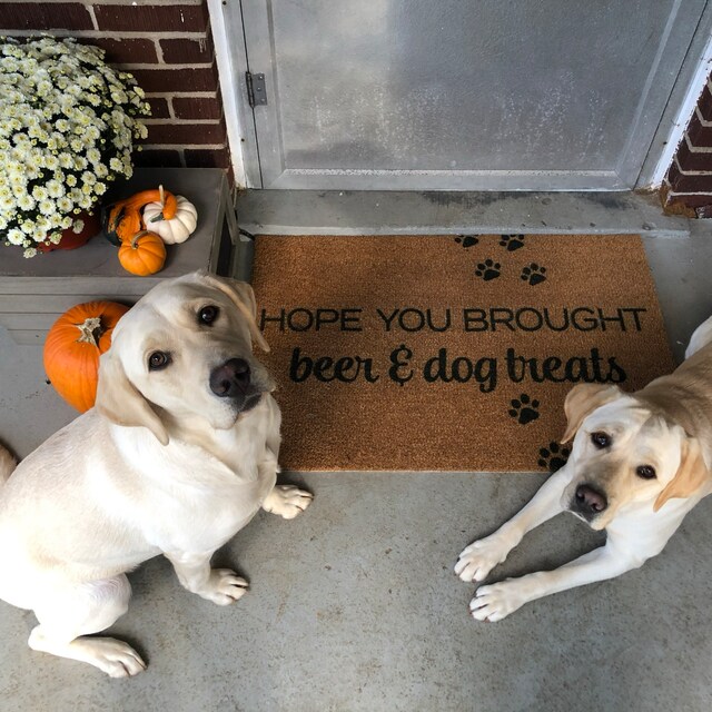 Hope You Brought Beer Dog Treats Doormat Hamlin Row