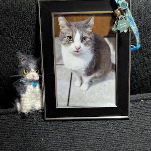 Dooba added a photo of their purchase