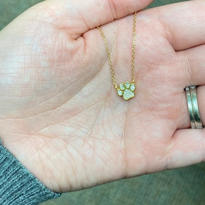 Amanda added a photo of their purchase
