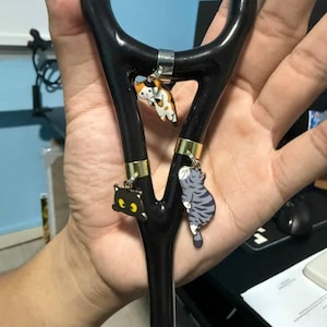 James added a photo of their purchase