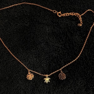 Charlotte added a photo of their purchase