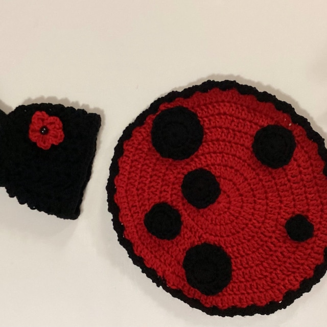 A customer's finished Ladybug and Bunny Newborn Crochet Patterns