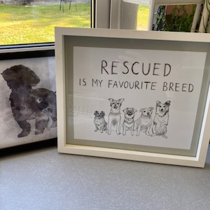 Kerry added a photo of their purchase
