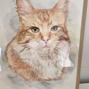 Janka added a photo of their purchase