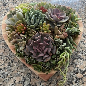 John Munteanu added a photo of their purchase